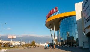 Д. Куткин 